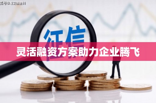 隆回灵活融资方案助力企业腾飞