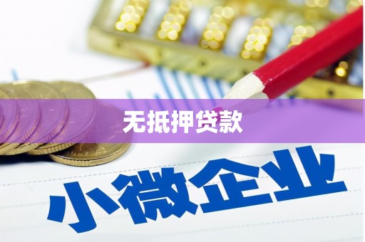 隆回无抵押贷款