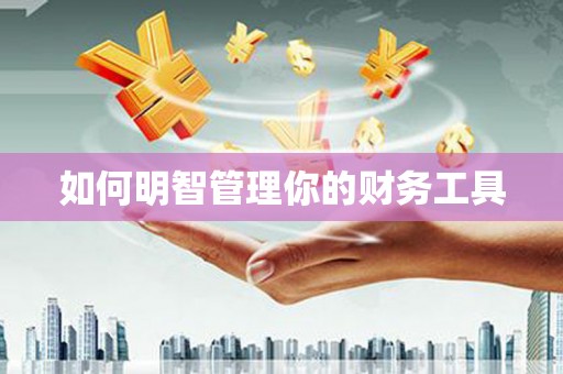 隆回如何明智管理你的财务工具