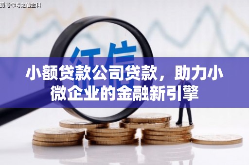 隆回小额贷款公司贷款，助力小微企业的金融新引擎