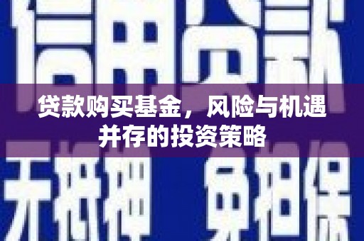 隆回贷款购买基金，风险与机遇并存的投资策略