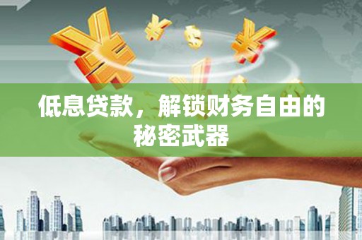 隆回低息贷款，解锁财务自由的秘密武器