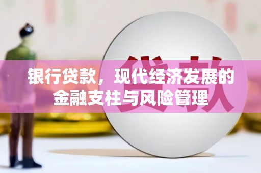 隆回银行贷款，现代经济发展的金融支柱与风险管理