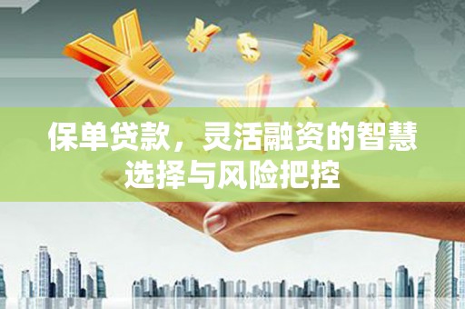 隆回保单贷款，灵活融资的智慧选择与风险把控