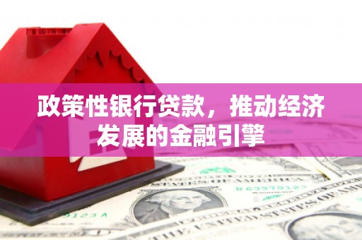 隆回政策性银行贷款，推动经济发展的金融引擎