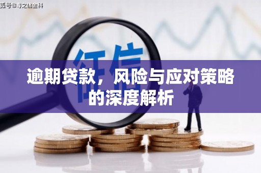 隆回逾期贷款，风险与应对策略的深度解析