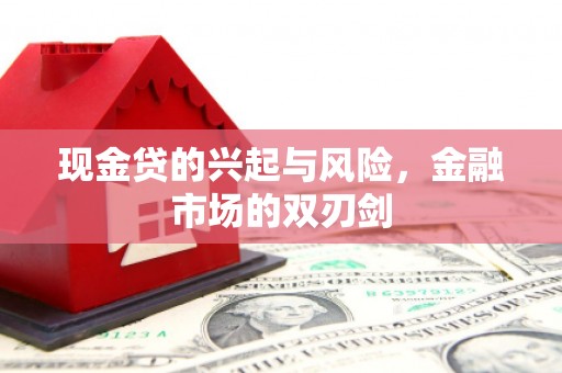 隆回现金贷的兴起与风险，金融市场的双刃剑