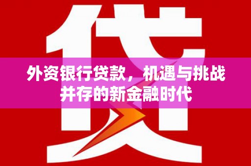 隆回外资银行贷款，机遇与挑战并存的新金融时代