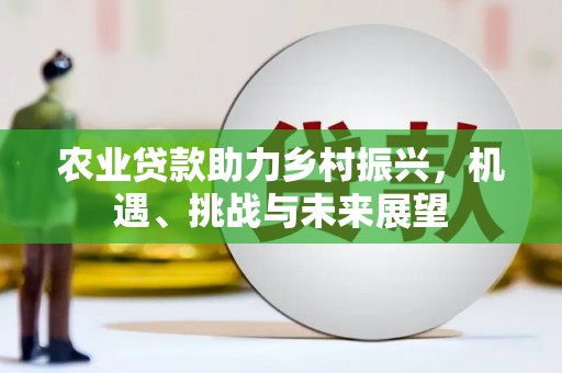 隆回农业贷款助力乡村振兴，机遇、挑战与未来展望