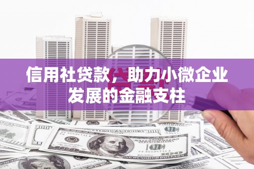 隆回信用社贷款，助力小微企业发展的金融支柱