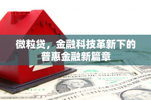 隆回微粒贷，金融科技革新下的普惠金融新篇章