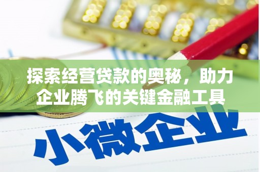 隆回探索经营贷款的奥秘，助力企业腾飞的关键金融工具