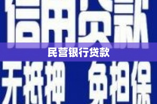 隆回民营银行贷款
