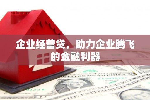 隆回企业经营贷，助力企业腾飞的金融利器