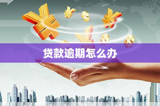 隆回贷款逾期怎么办