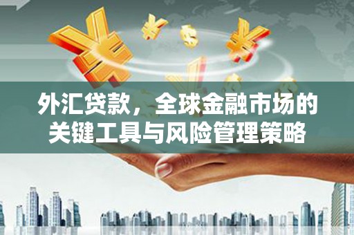 隆回外汇贷款，全球金融市场的关键工具与风险管理策略