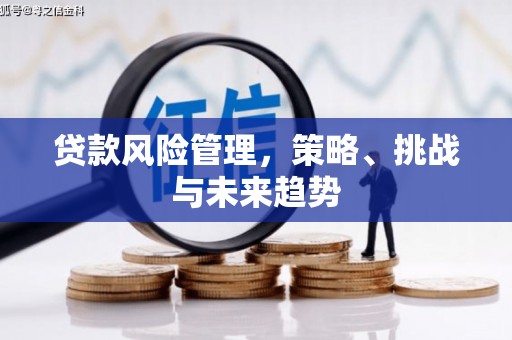 隆回贷款风险管理，策略、挑战与未来趋势