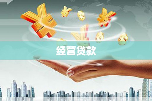 隆回经营贷款