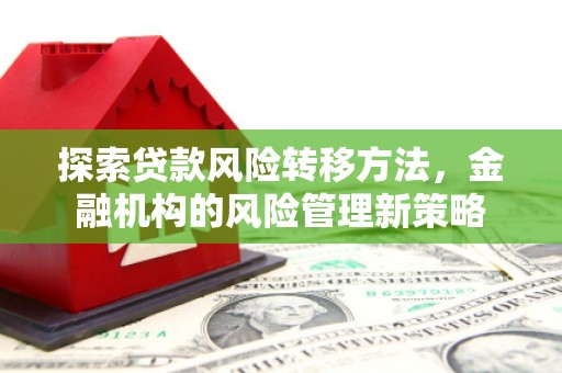 隆回探索贷款风险转移方法，金融机构的风险管理新策略