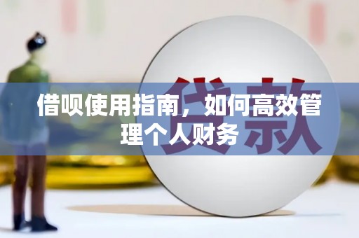 隆回借呗使用指南，如何高效管理个人财务