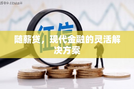 隆回随薪贷，现代金融的灵活解决方案