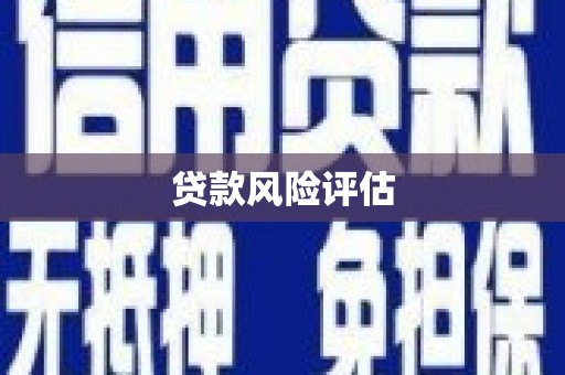 隆回贷款风险评估