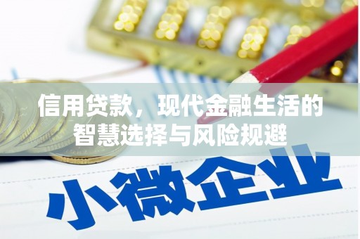 隆回信用贷款，现代金融生活的智慧选择与风险规避