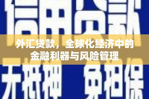 隆回外汇贷款，全球化经济中的金融利器与风险管理