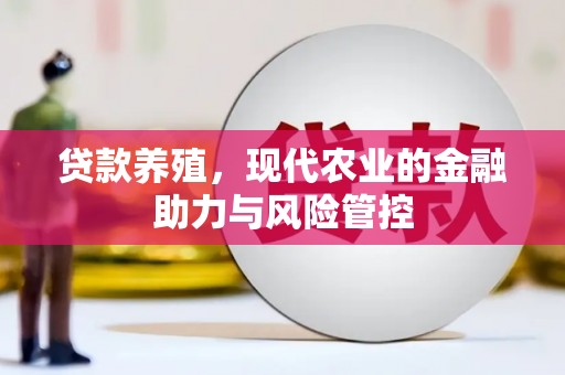 隆回贷款养殖，现代农业的金融助力与风险管控