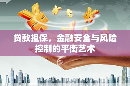 隆回贷款担保，金融安全与风险控制的平衡艺术