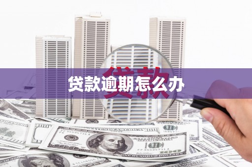隆回贷款逾期怎么办