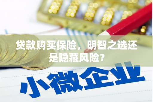 隆回贷款购买保险，明智之选还是隐藏风险？