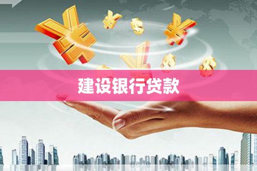 隆回建设银行贷款
