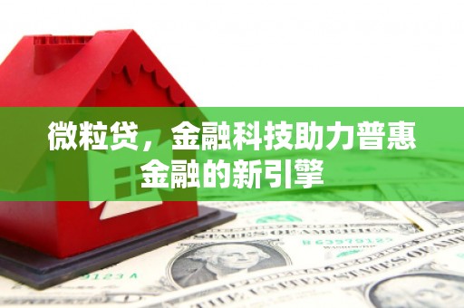 隆回微粒贷，金融科技助力普惠金融的新引擎