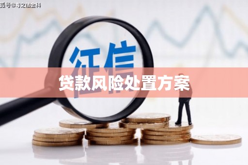隆回贷款风险处置方案
