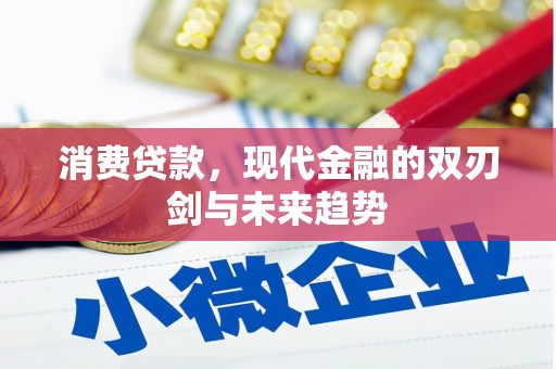 隆回消费贷款，现代金融的双刃剑与未来趋势