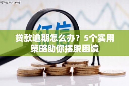 隆回贷款逾期怎么办？5个实用策略助你摆脱困境