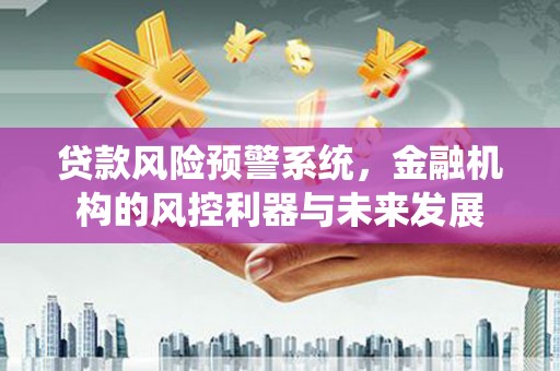 隆回贷款风险预警系统，金融机构的风控利器与未来发展