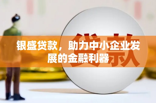 隆回银盛贷款，助力中小企业发展的金融利器