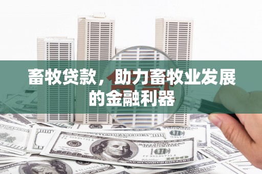 隆回畜牧贷款，助力畜牧业发展的金融利器