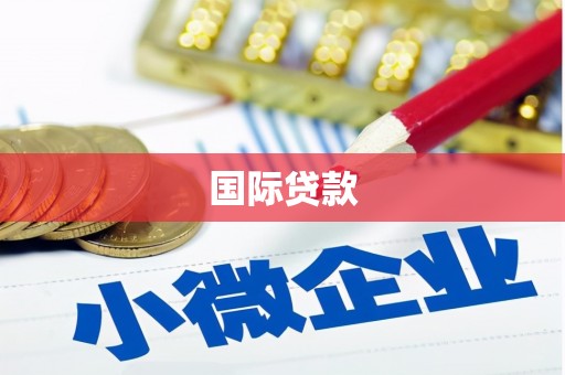 隆回国际贷款