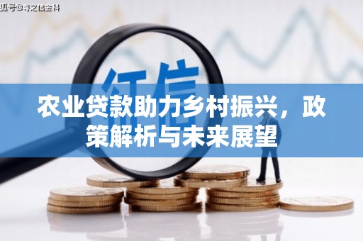 隆回农业贷款助力乡村振兴，政策解析与未来展望