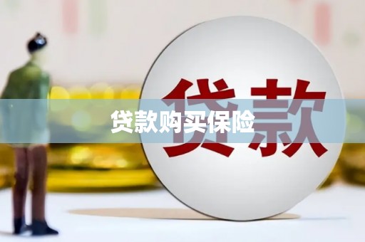 隆回贷款购买保险