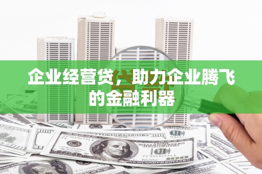 隆回企业经营贷，助力企业腾飞的金融利器