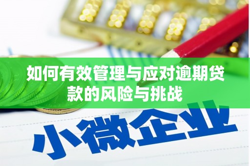 隆回如何有效管理与应对逾期贷款的风险与挑战