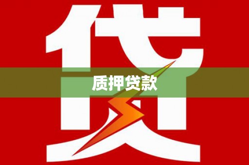 隆回质押贷款