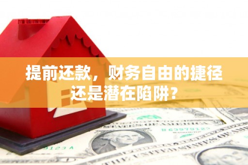 隆回提前还款，财务自由的捷径还是潜在陷阱？