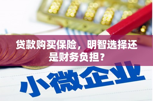 隆回贷款购买保险，明智选择还是财务负担？