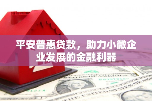 隆回平安普惠贷款，助力小微企业发展的金融利器