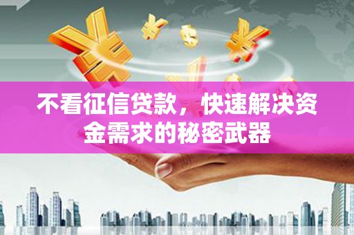 隆回不看征信贷款，快速解决资金需求的秘密武器